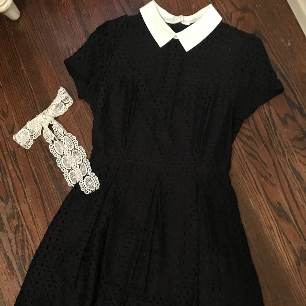 Forever 21 Cute Collared Black Dress